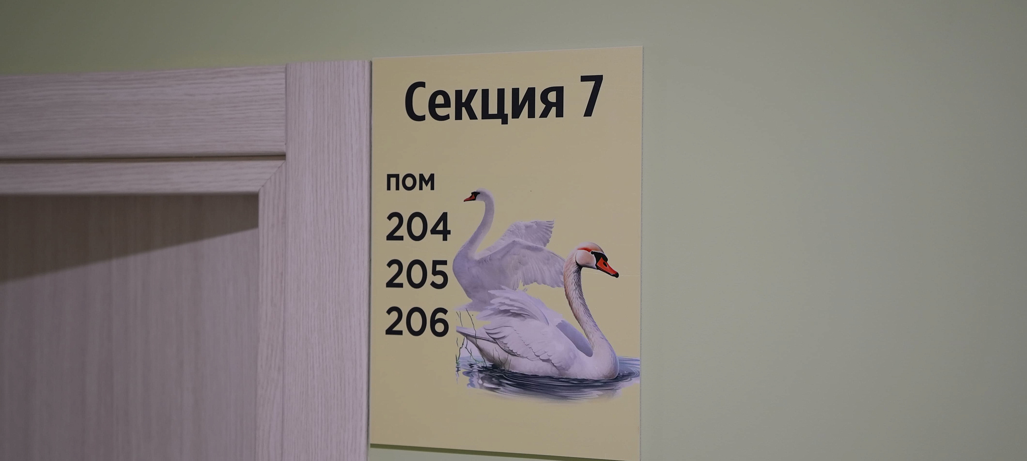 Реабилитация пожилых после перелома шейки бедра